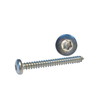 Skruv Cylinderhuvud 4,8 x 25 A4 Torx-spår ISO14585 10st.